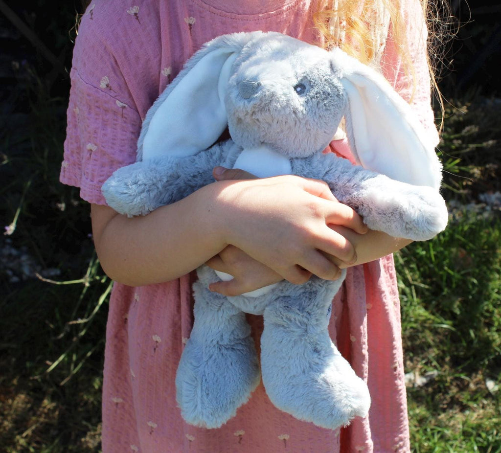 Personalised big sister and big brother teddy, Little sister teddy, little brother teddy, Sibling teddy