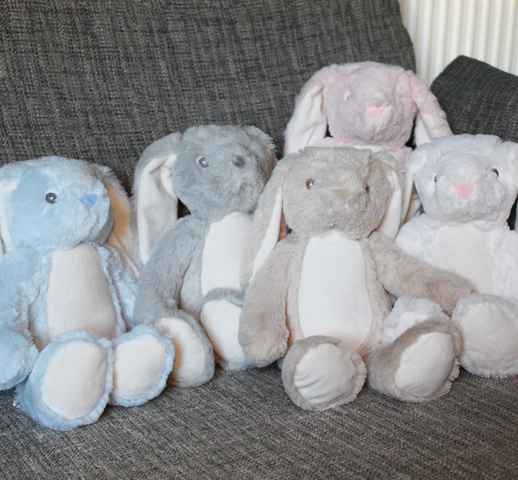 Personalised big sister and big brother teddy, Little sister teddy, little brother teddy, Sibling teddy