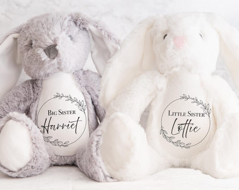 Personalised big sister and big brother teddy