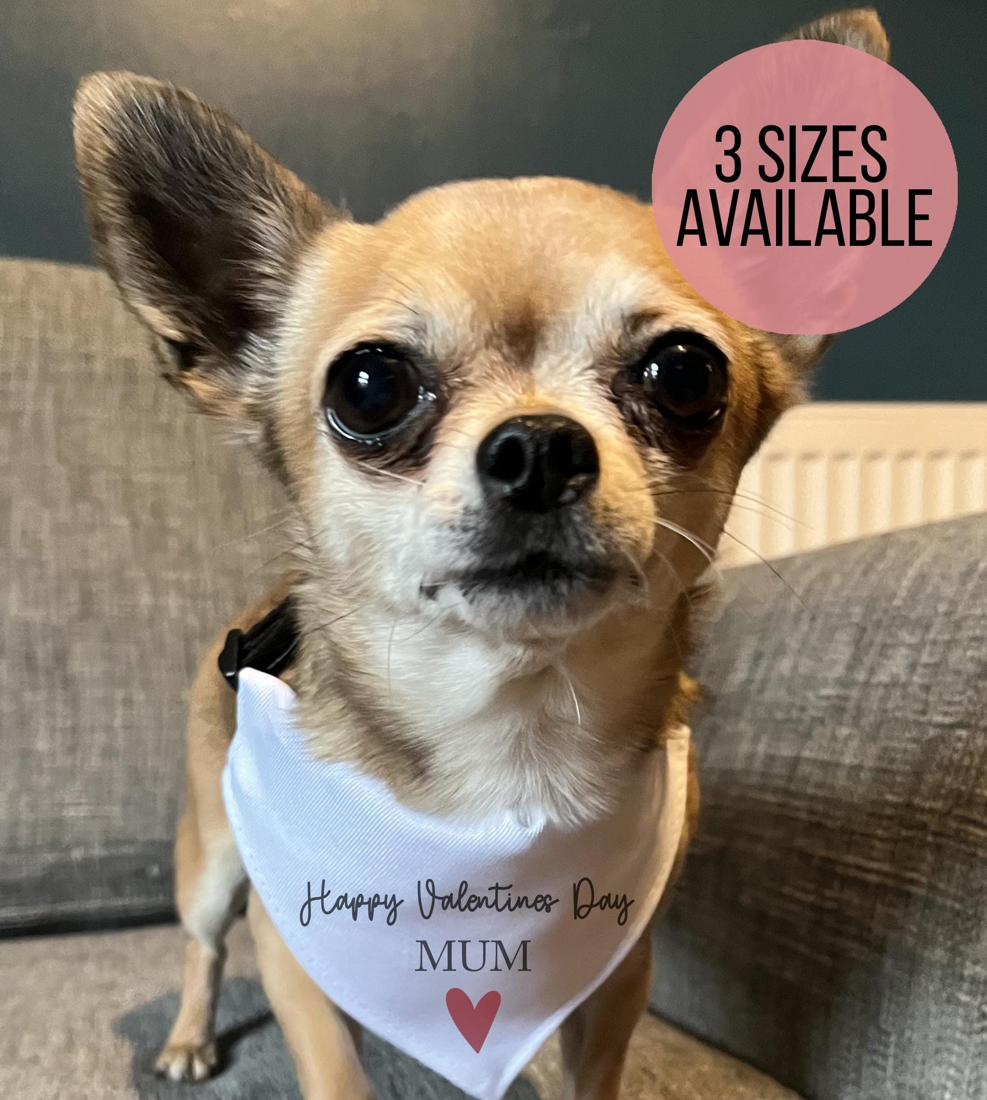 personaised happy valentines day dog bandana, valentines day, dog mum, dog dad, dog bandana, dog collar