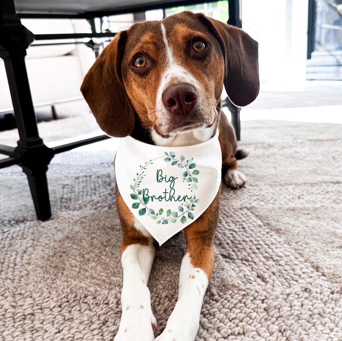 Big Brother Dog Bandana ,  Bandana for Dog Pregnancy Announcement ,  New Dog Sibling , Dog Mum Gift , Baby shower gift