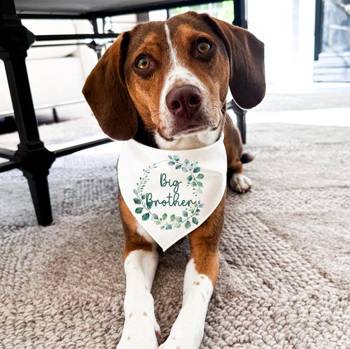 Big Brother Dog Bandana ,  Bandana for Dog Pregnancy Announcement ,  New Dog Sibling , Dog Mum Gift , Baby shower gift